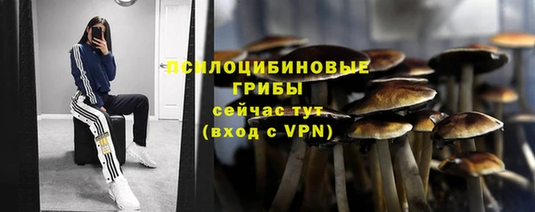бутират Снежинск