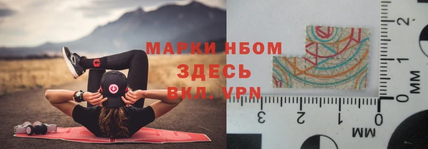 PSILOCYBIN Карталы