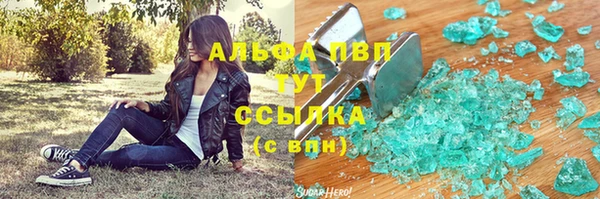 PSILOCYBIN Карталы