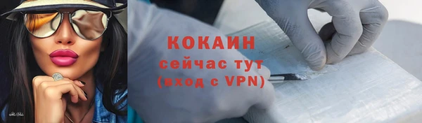 PSILOCYBIN Карталы