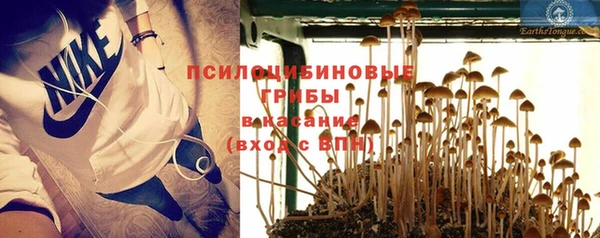 PSILOCYBIN Карталы