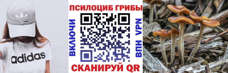 Купить где  Богданович  Псилоцибиновые грибы ЛСД 